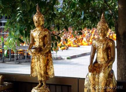 Медитирующие монахи в Чиангмае. Таиланд. (фото Лимарева В.Н.)