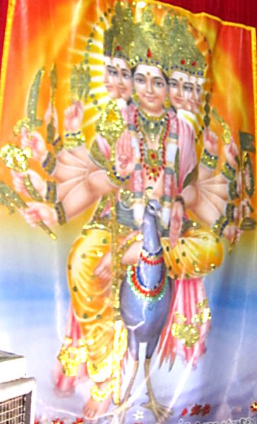 Бог Мураган (Вишну Тирумаль) на павлине. Шри-Ланка  Фото Лимарева В.Н. 