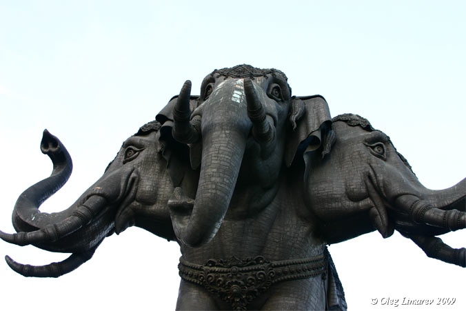 Трехголорвый слон. Бангкок. Таиланд.   Фото Лимарева Олега.